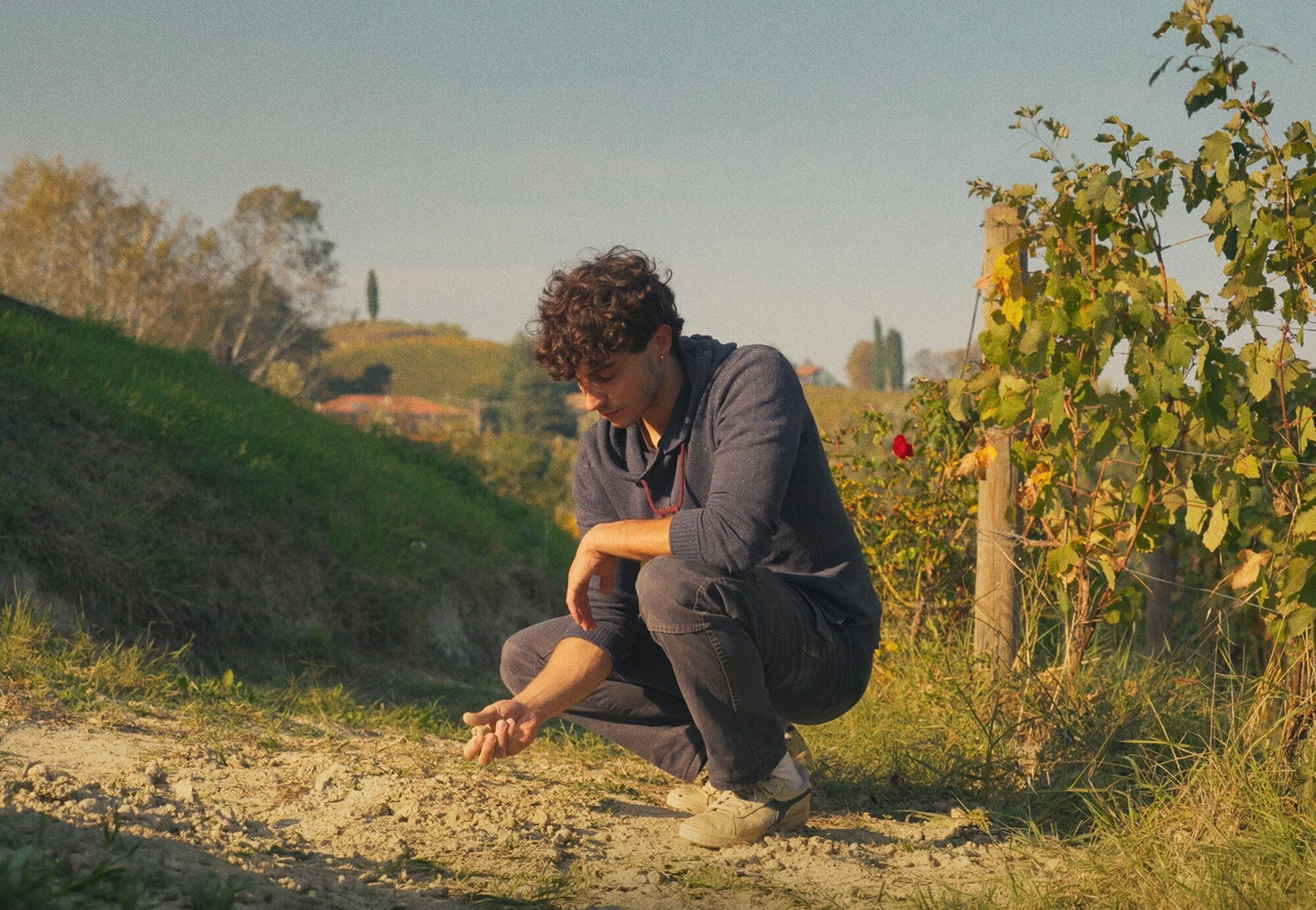 A young man crouches on a dry vineyard path in Piemonte, sifting soil through his fingers.